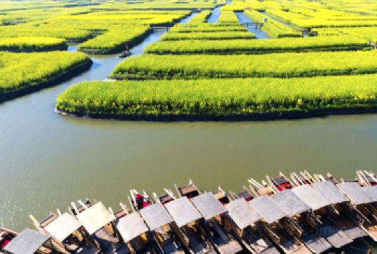 兴化千垛景区【大门票+赠送游船10人以上团队票需同时入园】【千垛景区营业时间8：00-16：00（包含船票）】