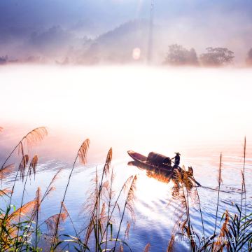 湖南长沙+东江湖旅游区+莽山五指峰景区+岳阳+韶山+衡山+高椅岭旅游区6日5晚跟团游