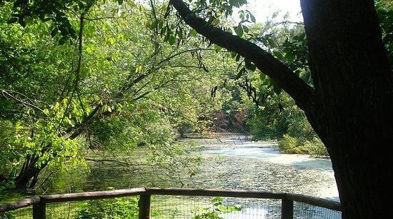 Riverdale Farm Attractions Toronto Travel Review Travel Guide