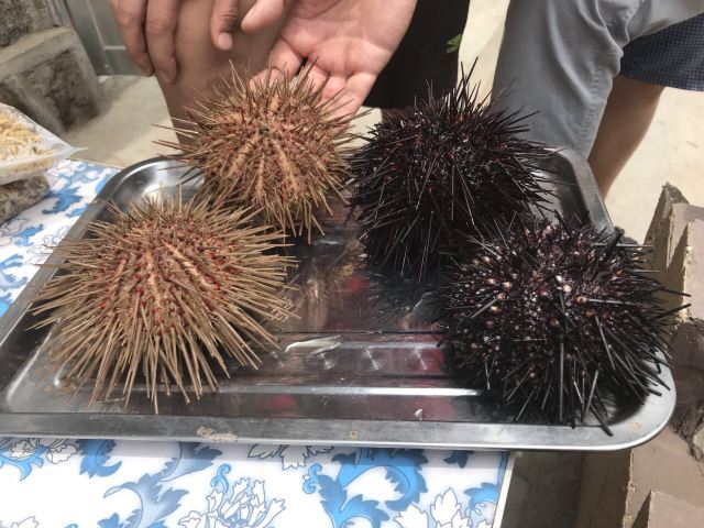 지밍다오(계명도)