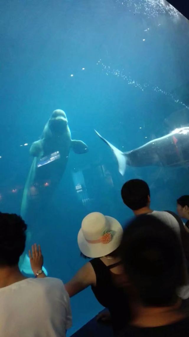 Qujiang Polar Ocean Park