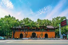 妙果寺-温州-doris圈圈