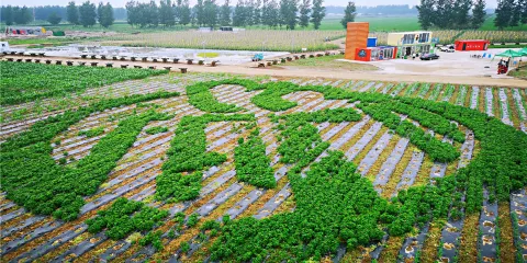 瀋陽寶島阿美族熱帶農業博覽園