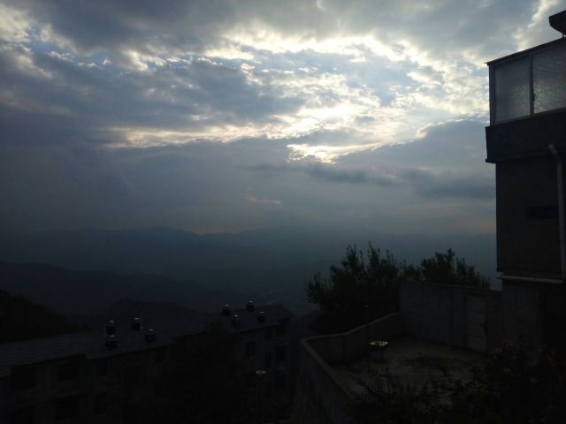 수탉 산