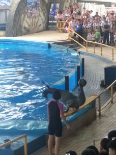 南宁动物园-南宁-说走就走