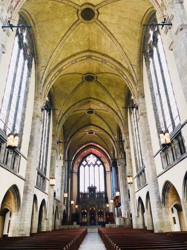 The University of Chicago