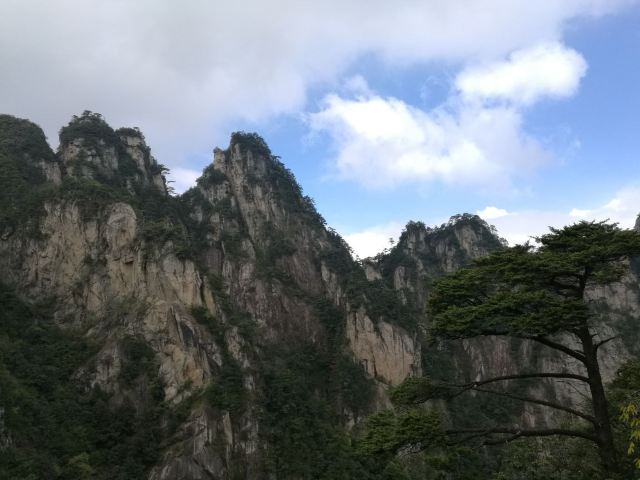 龍門飛渡索橋