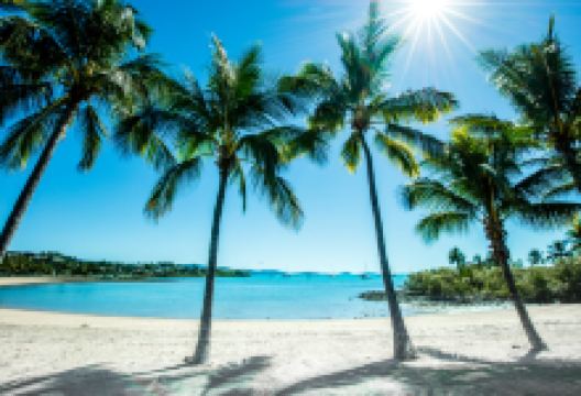 艾尔利海滩泻湖景点图片