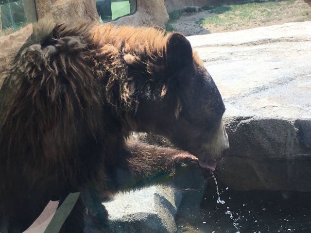 Kobe Animal Kingdom