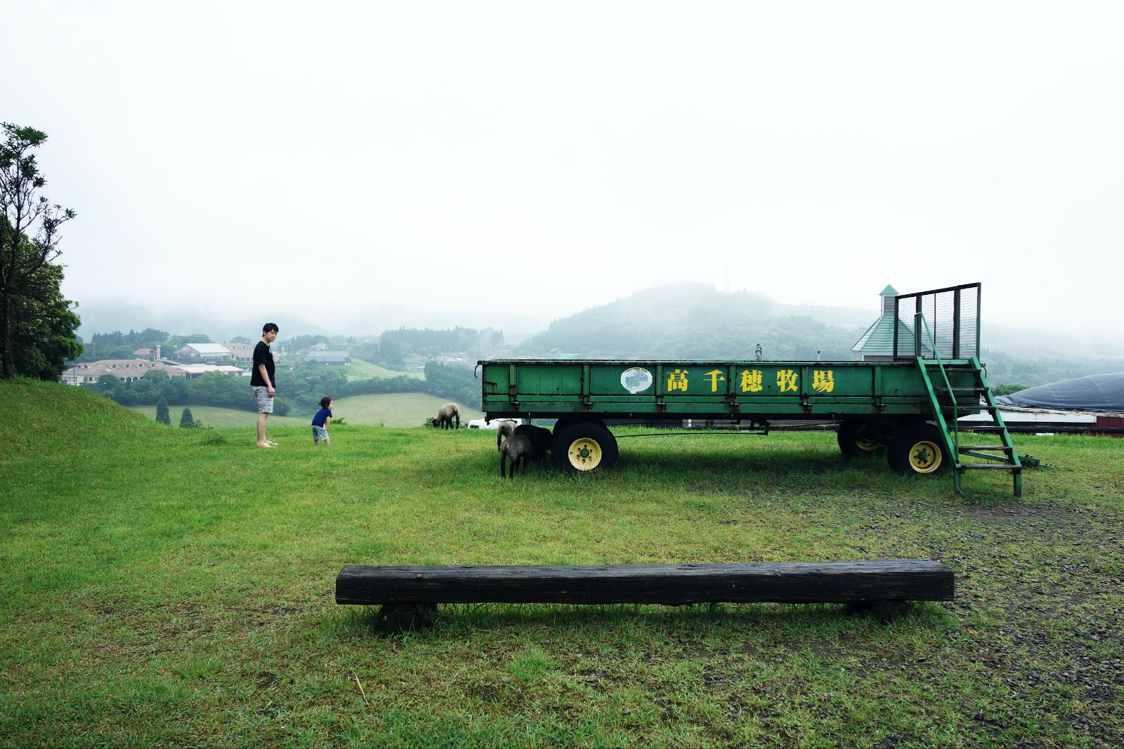 高千穗牧场，初夏田园梦