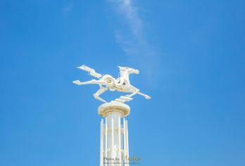 养马岛+海昌渔人码头风景区+烟台山景区+孤独的鲸一日包车游【[资深司机服务]为您避开旅游陷阱，让你省心无忧】