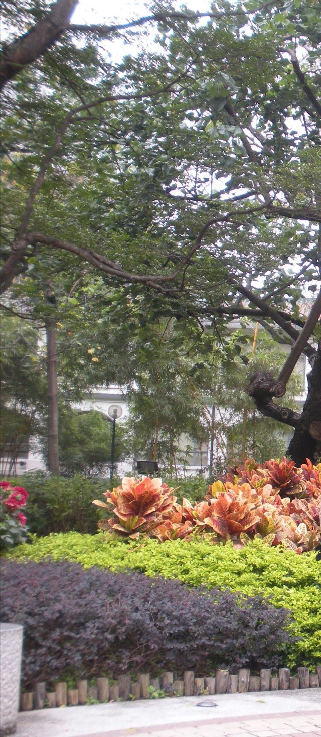 Kowloon Park