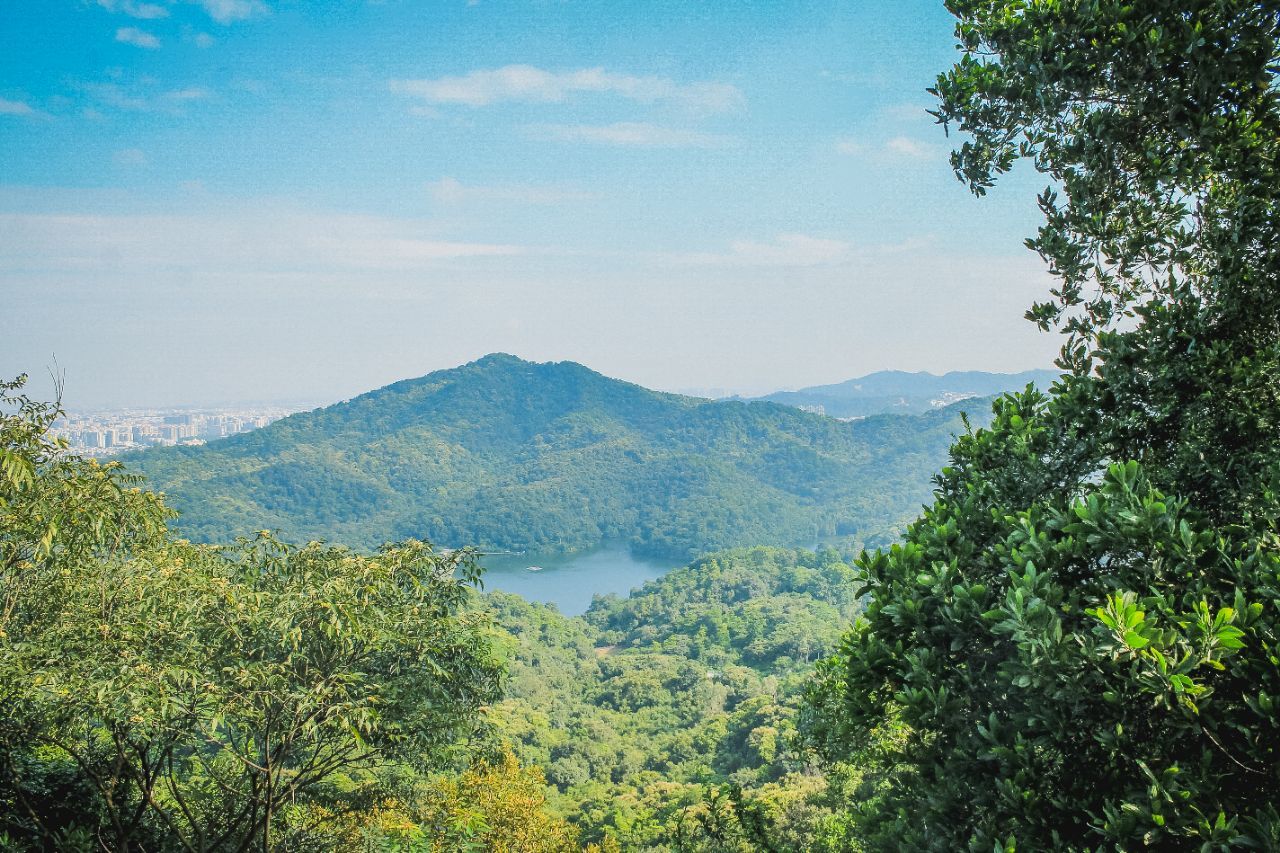 白雲山旅遊攻略指南-白雲山評價-白雲山附近推薦-Trip.com