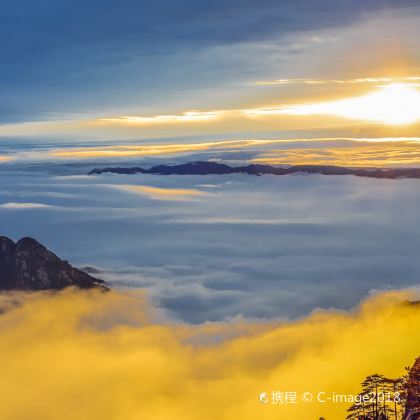 黄山+千岛湖+宏村+西递+婺源7日6晚跟团游