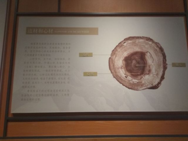 하이난 박물관