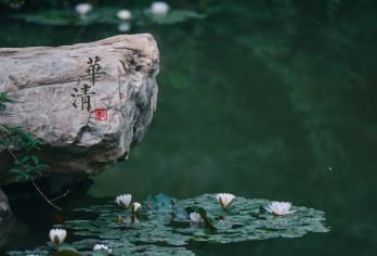 兵马俑+华清宫一日游 纯玩无购物 亲情服务 可制定行程【[透明的价格体系，不花冤枉钱]费用高低取决于您对品质的要求，透明报价，明白消费】