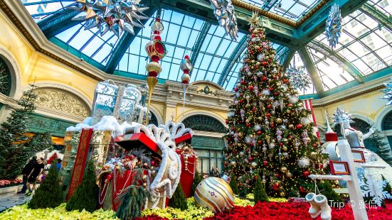 Bellagio Conservatory and Botanical Gardens