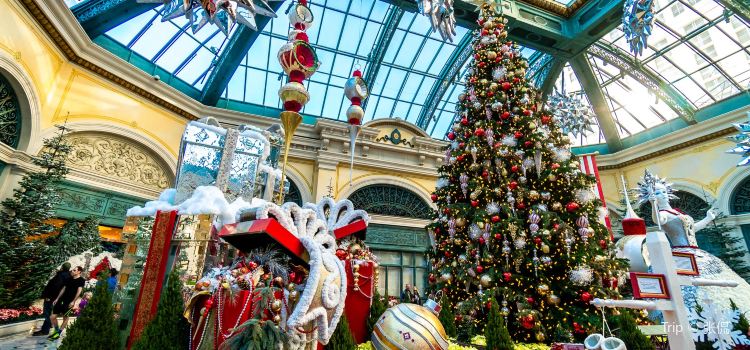 Bellagio Conservatory And Botanical Gardens Travel Guidebook Must