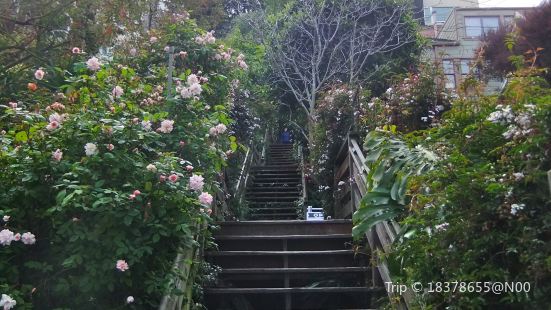 Filbert Steps