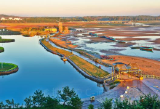 昌黎黄金海岸风景区旅游图片-赏日出日落，看潮起潮落——观海一日游