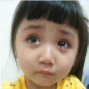 萍菓快来秀丽碗里