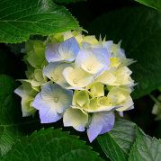 小雨小雨小雨亲