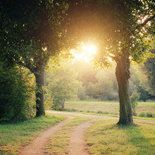 小强强不是小强