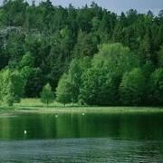 汉堡不加沙拉酱