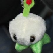 爱过节的土拨鼠