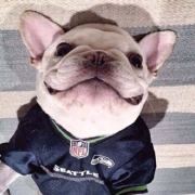 方丈身披过肩龙