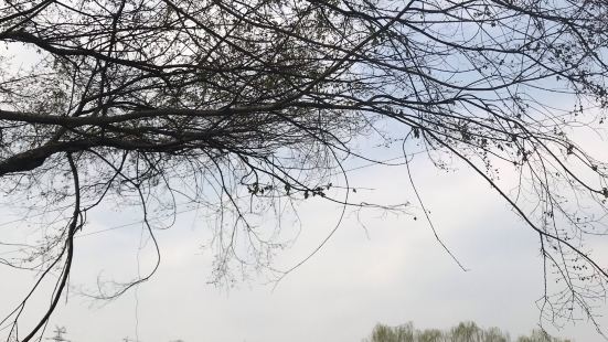 Beihu Park