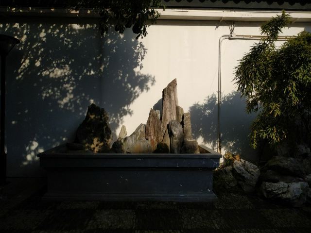 畅园旅行图片 3