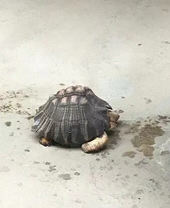 國家動物園