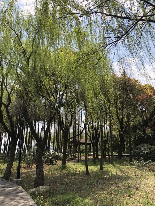 발공도생태공원