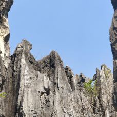 小石林景区-阿诗玛-石林-YoYo_6S1A4A6H