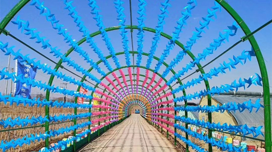 润泽花海