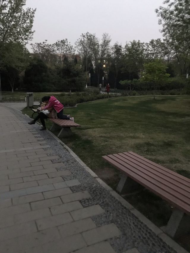 阳光星期八公园旅行图片 5