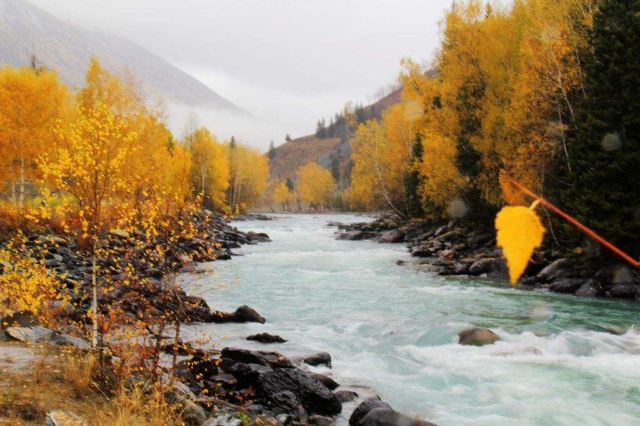 花楸谷旅行图片 3