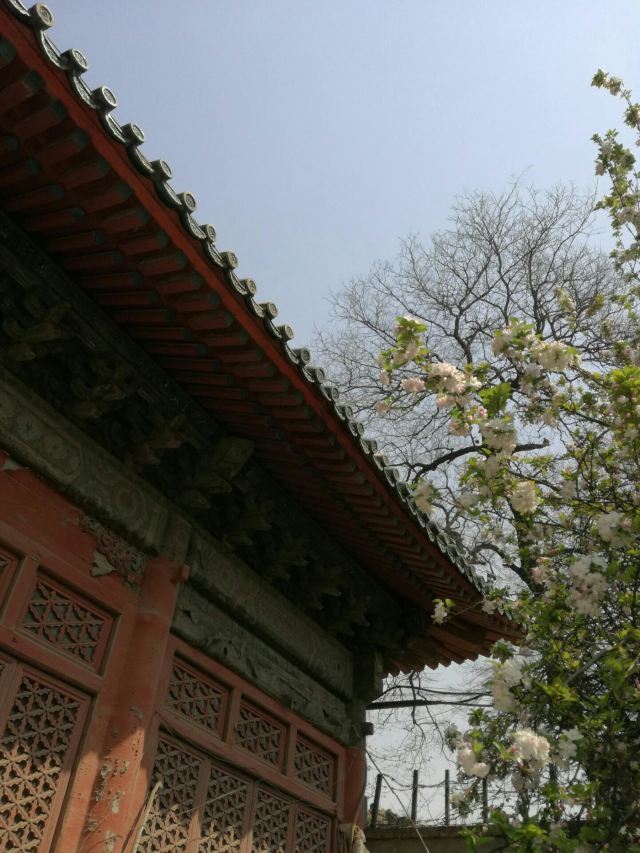 孚王府(不对外开放)旅行图片 13