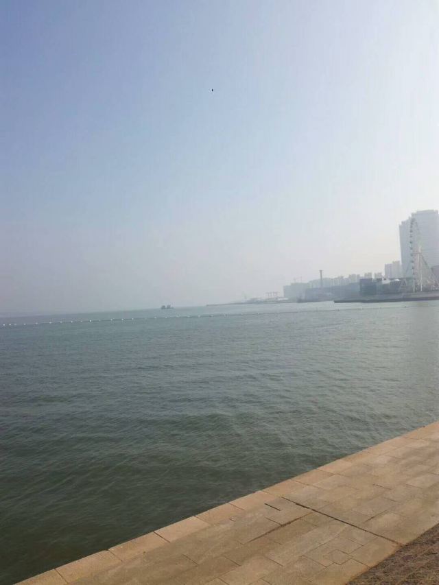 唐岛湾滨海公园-观景台旅行图片 2