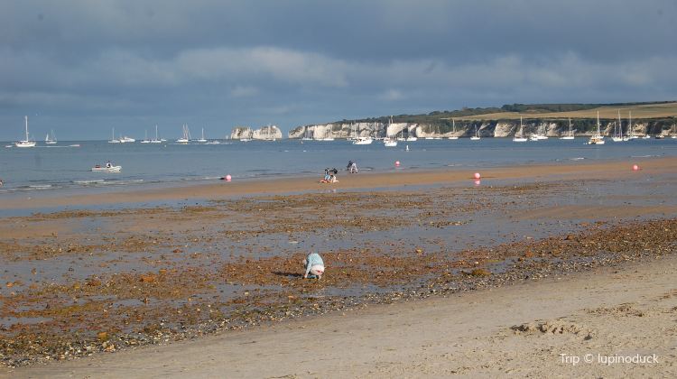 Studland Beach And Nature Reserve Tickets Deals Reviews