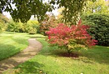 National Trust - Emmetts Garden景点图片