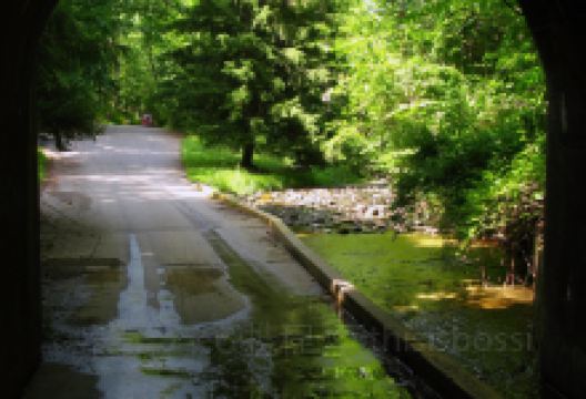 Patapsco Valley State Park - Hollofield Area景点图片