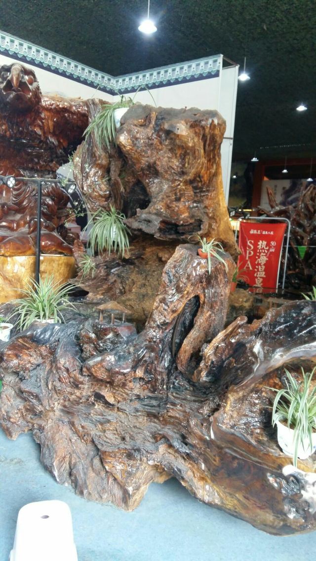 杜鹃王古木文化博览园旅行图片 1