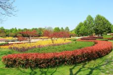 杭州西湖风景名胜区杭州花圃-杭州-在路上的Jorick