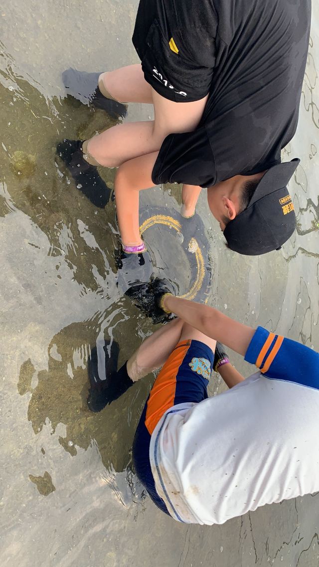 赶海一号旅行图片 5