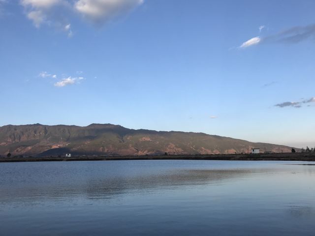 黄龙潭公园旅行图片 2