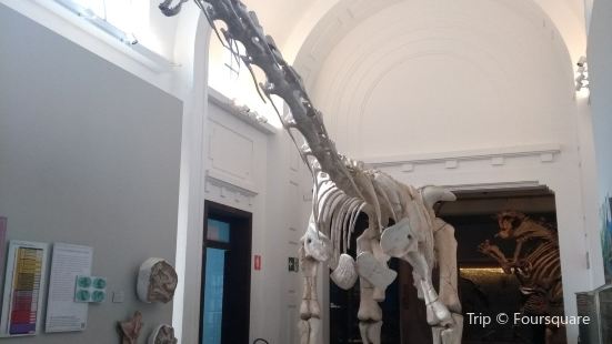Sao Paulo Museum of Zoology