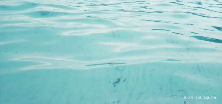 Plage Mare E Sole Travel Guidebook Must Visit Attractions