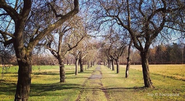 Botanischer Volkspark Berlin Travel Guidebook Must Visit